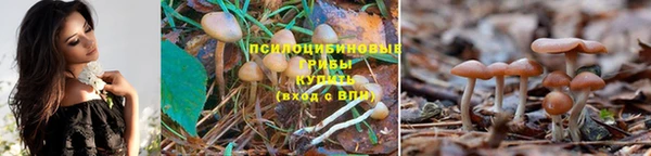 таблы Армянск