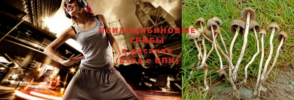 дурь Аркадак
