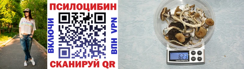 где купить наркотик Луга Галлюциногенные грибы прущие грибы